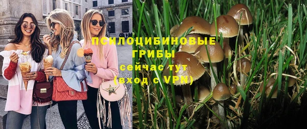 ПСИЛОЦИБИНОВЫЕ ГРИБЫ Баксан