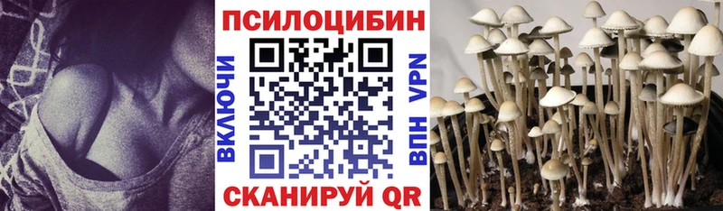 Галлюциногенные грибы Magic Shrooms  купить   Озёры 